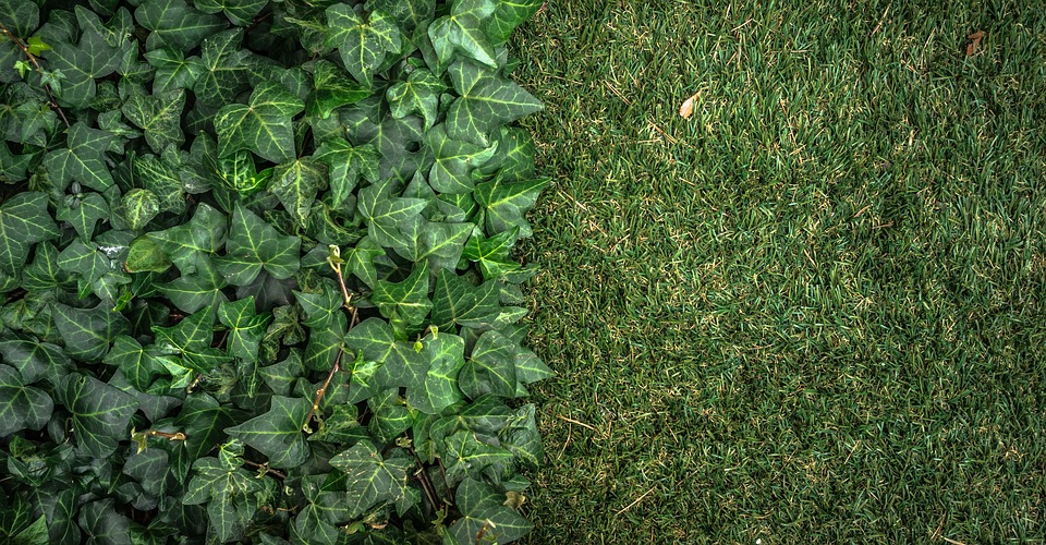 The best reasons to get an artificial lawn